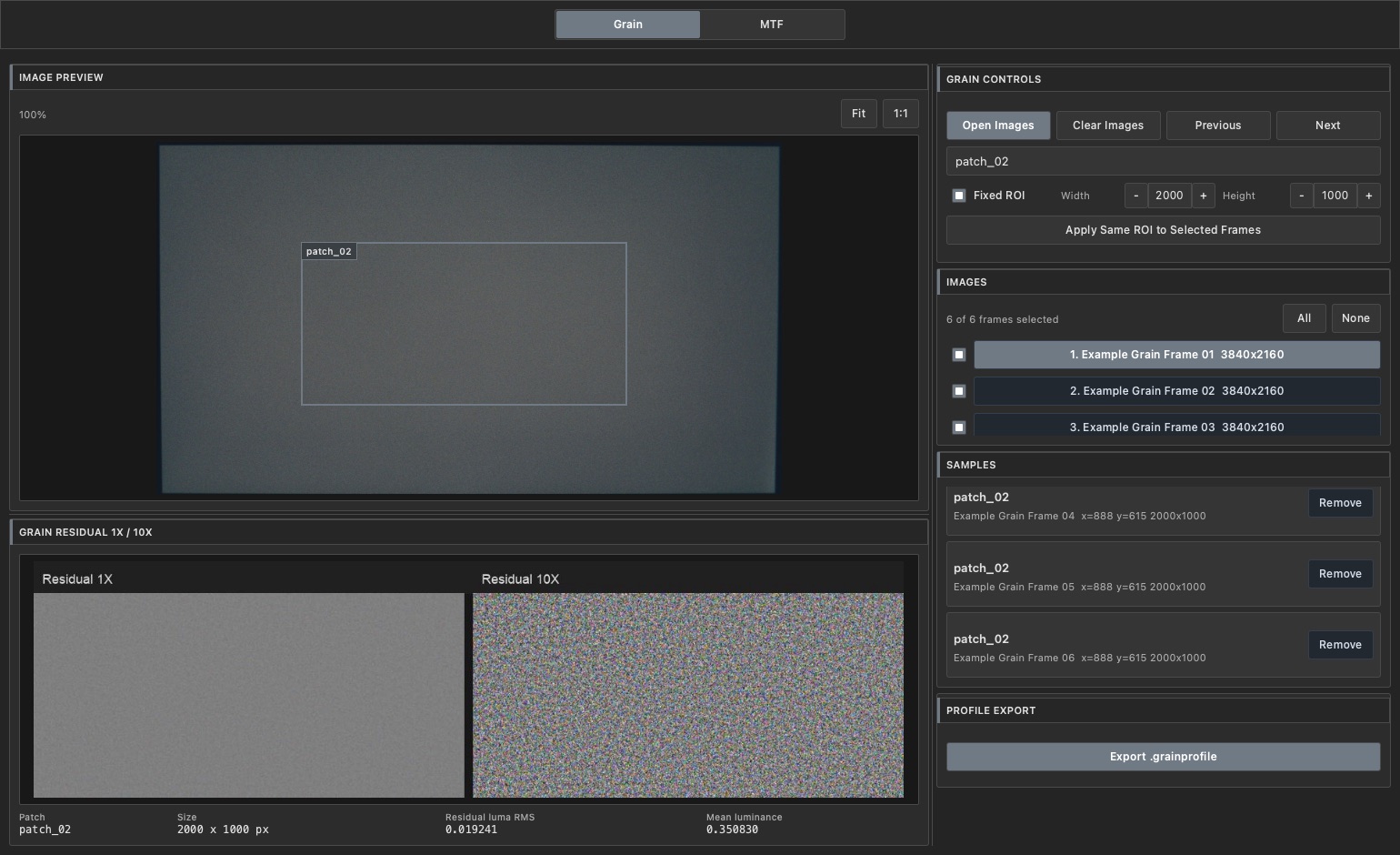 FilmMatch Analyzer Grain interface with illustrative frames and ROI samples loaded